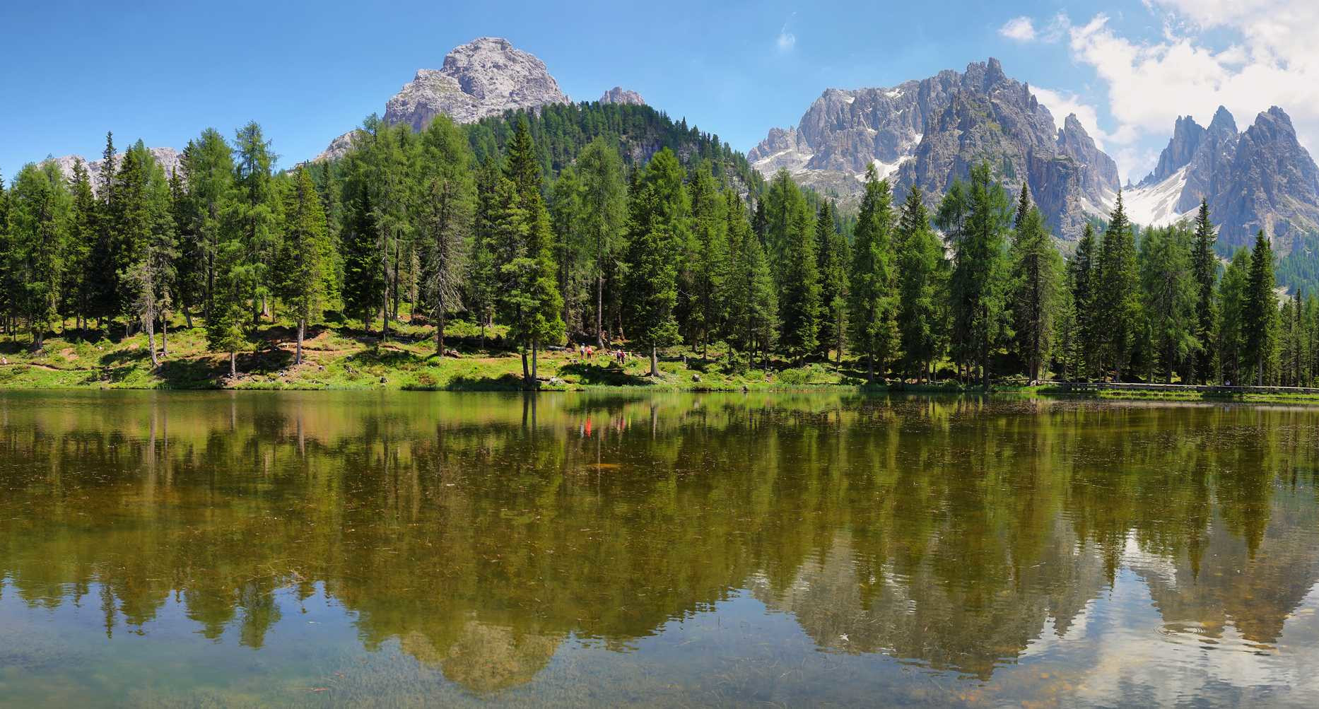 A serene lake reflects the towering mountains and lush greenery, showcasing the beauty of nature, while the search query is about tools for managing PPC campaigns with automation, machine learning, personalization, multichannel measurement, and predictive analytics.
